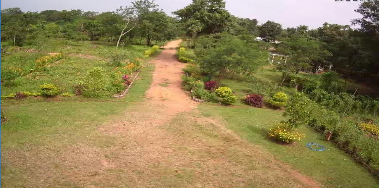 Peacock Resort Anuradhapura Kültér fotó