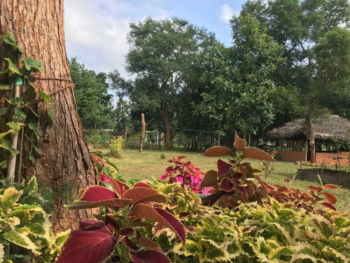 Peacock Resort Anuradhapura Kültér fotó