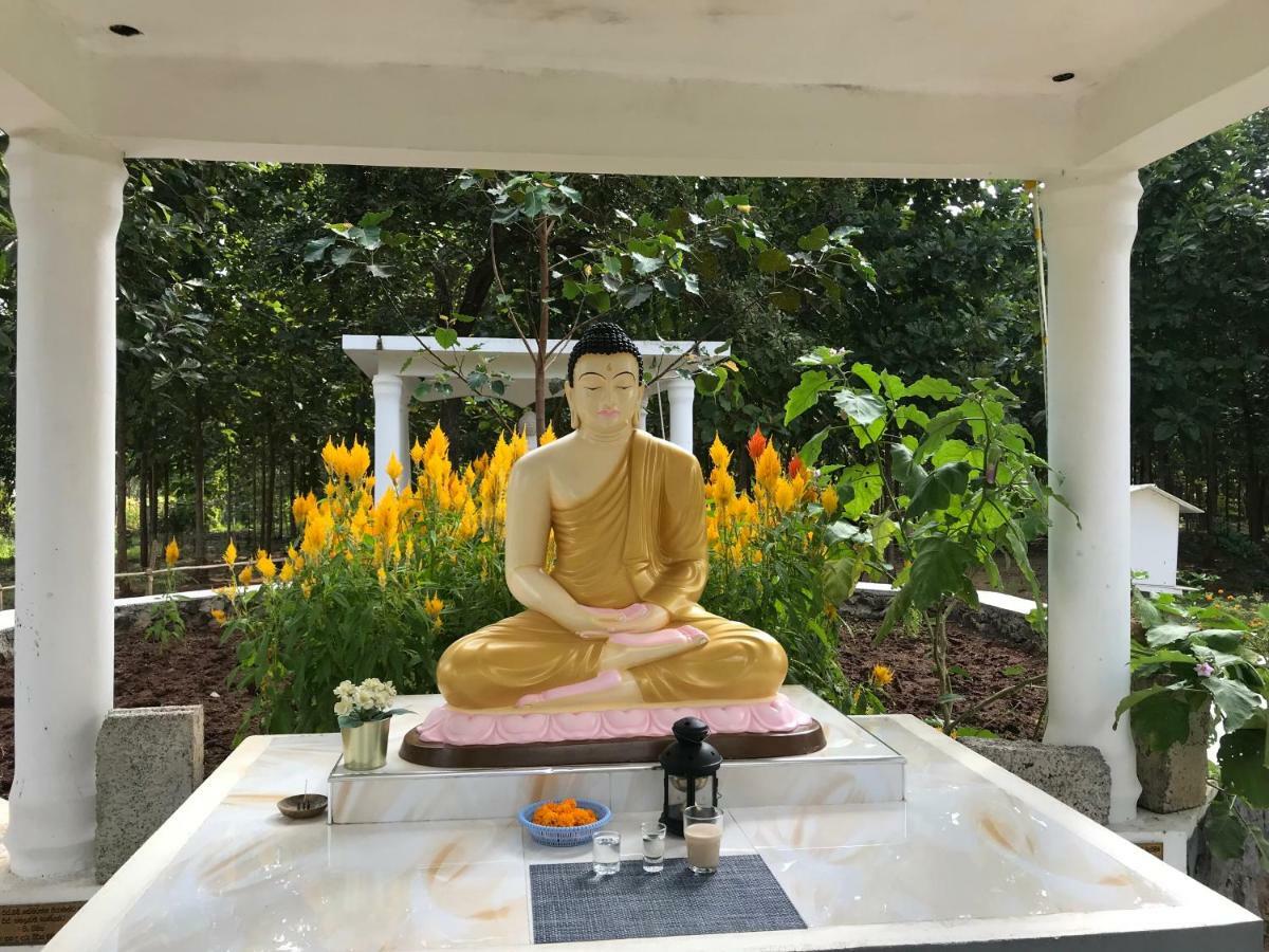 Peacock Resort Anuradhapura Kültér fotó