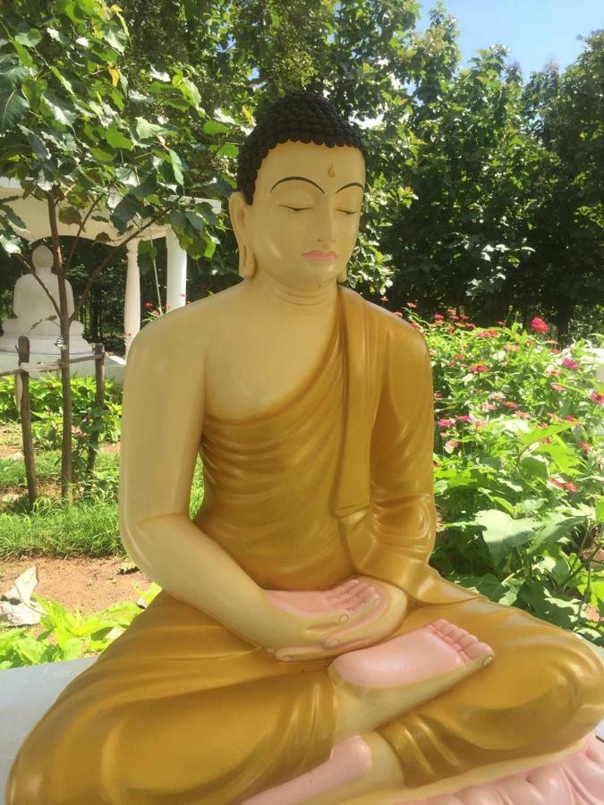 Peacock Resort Anuradhapura Kültér fotó
