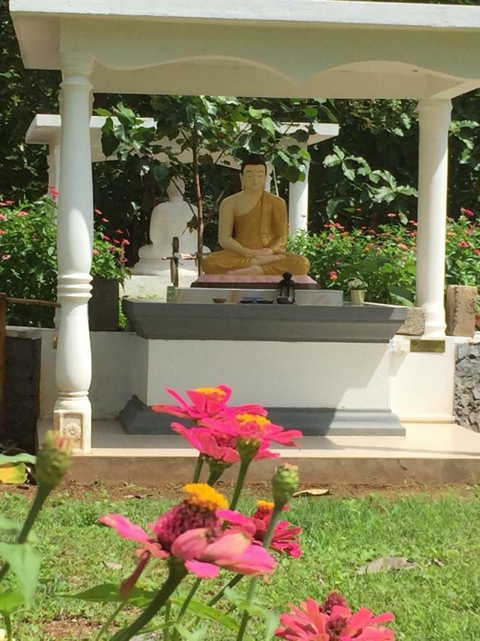 Peacock Resort Anuradhapura Kültér fotó