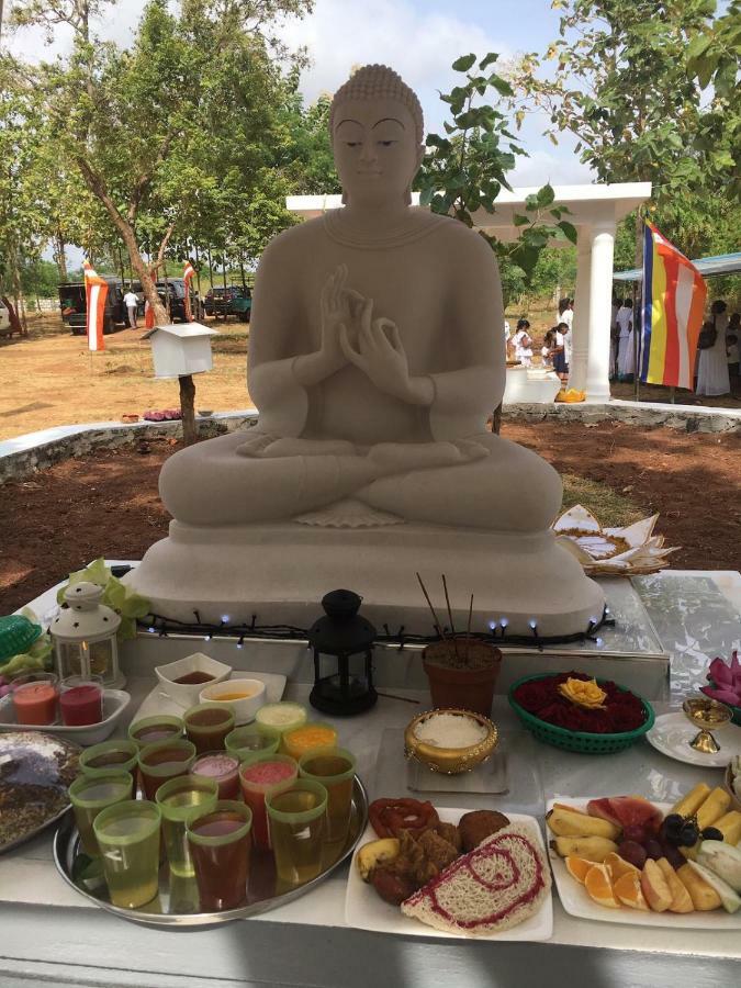 Peacock Resort Anuradhapura Kültér fotó